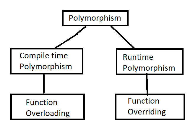 polymorphism